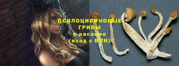 соль ск Балабаново