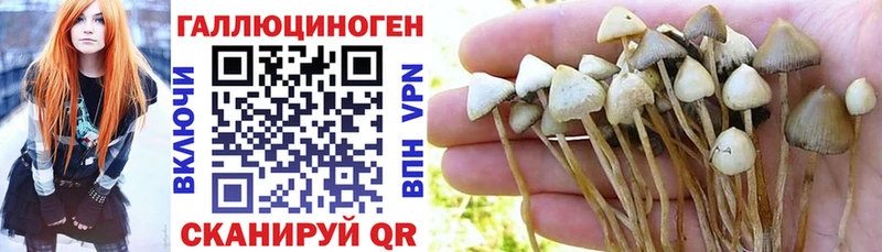 купить закладку Светлый shop состав Псилоцибиновые грибы Magic Shrooms